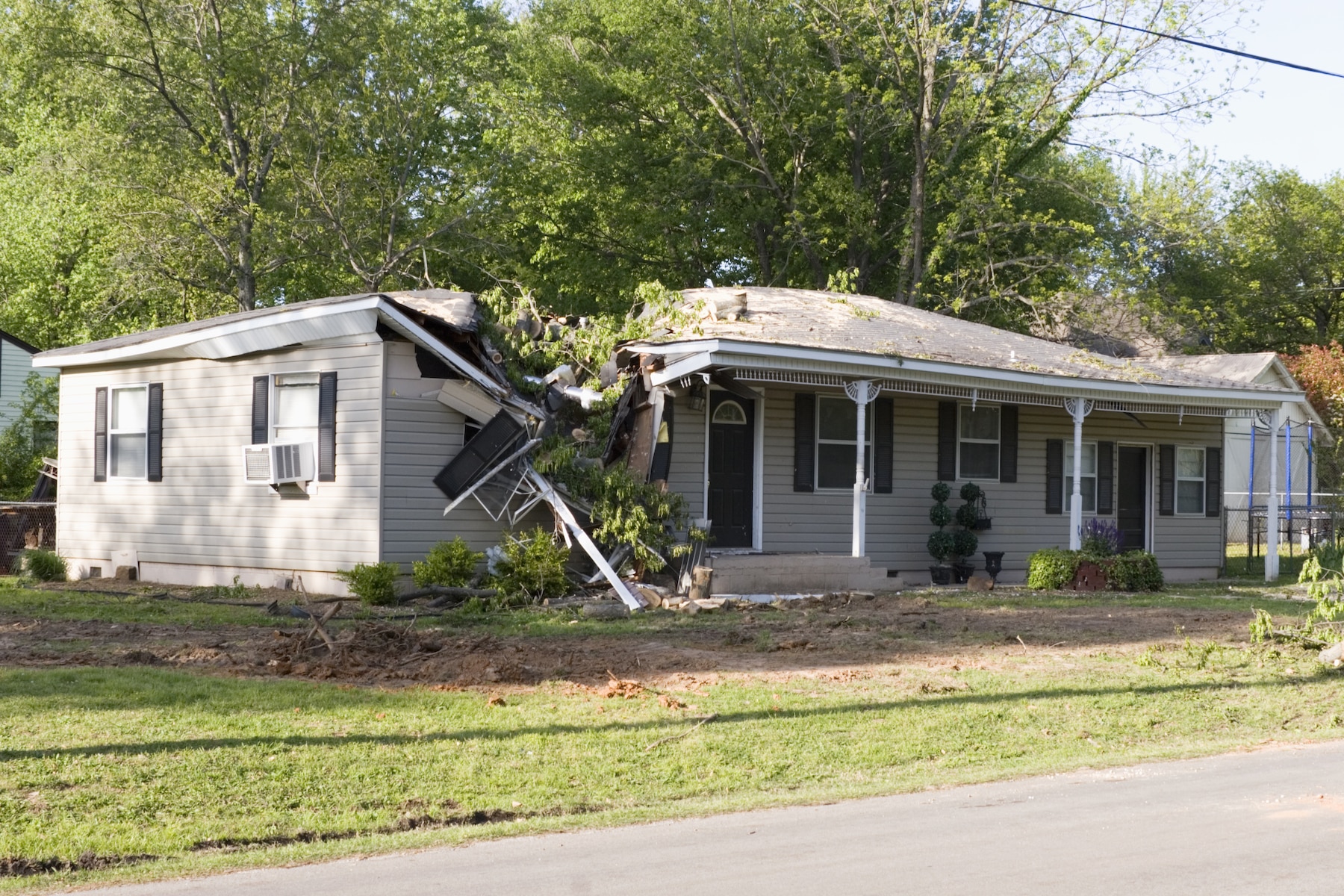 tree fallen on house with damage