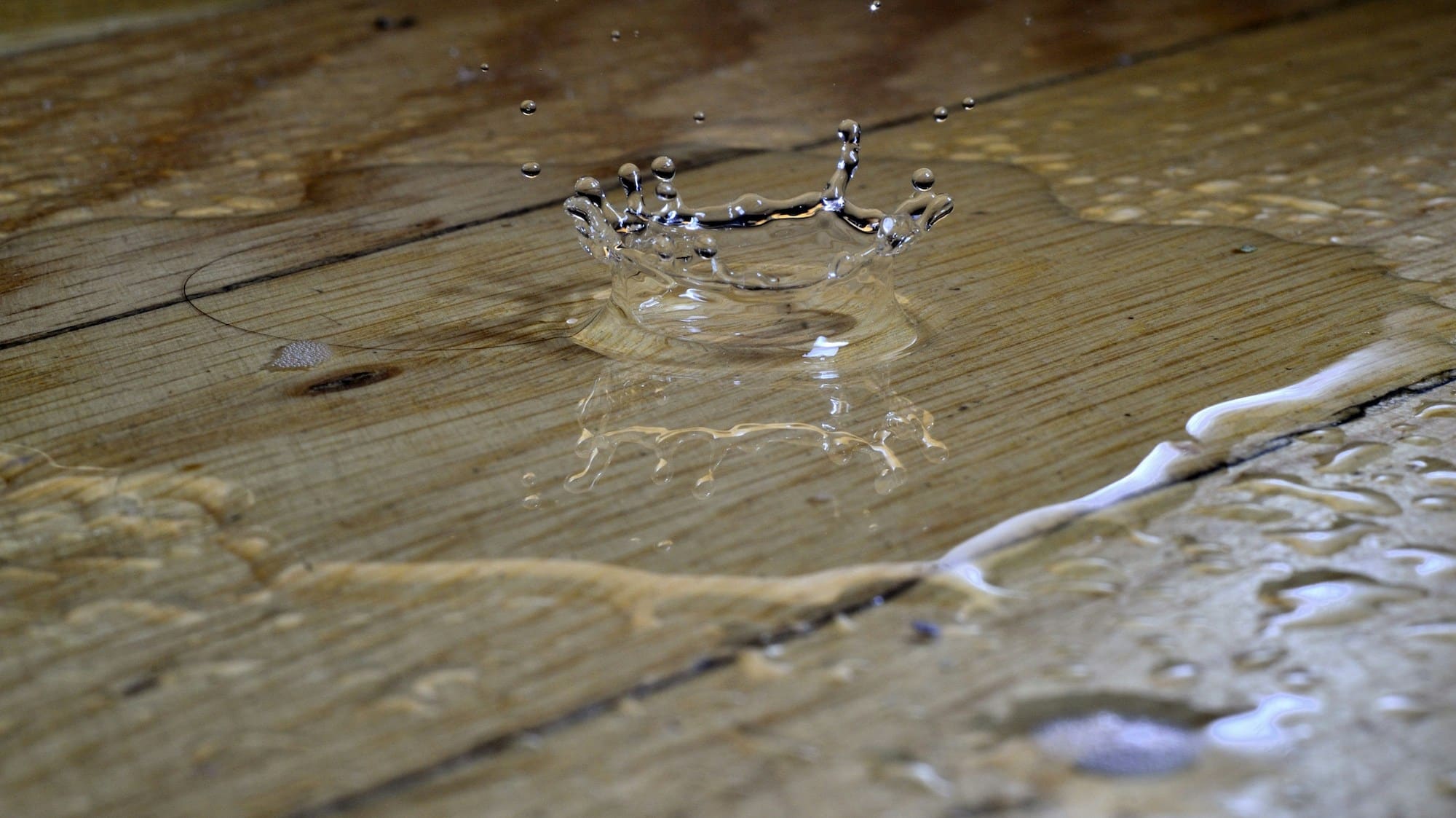 water dripping onto hardwood floor - featured image for common water damage causes blog